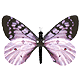savarina